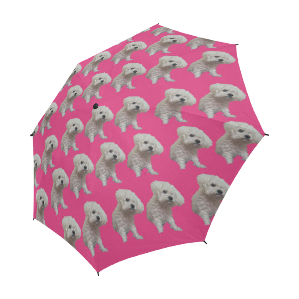 Janice&#39;s Dog Umbrella