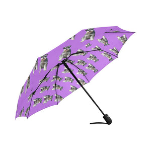Schnauzer Umbrella - Purple Fully Auto