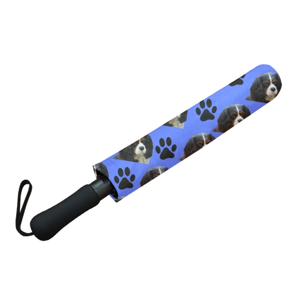 Cavalier King Charles Spaniel & Paws Umbrella