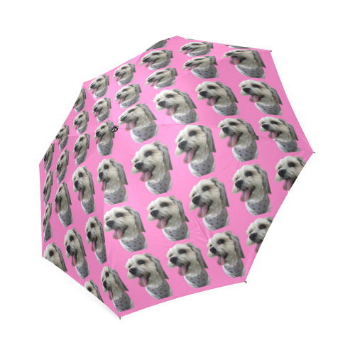 Maltese/Shih Tzu Umbrella