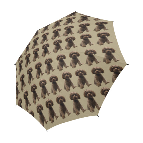 Shih Poo Umbrella Chocolate