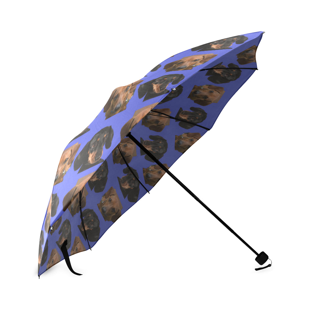 Dachshund Multi Umbrella