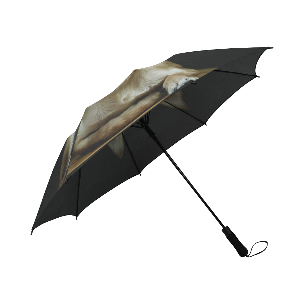 Chihuahua Umbrella -1