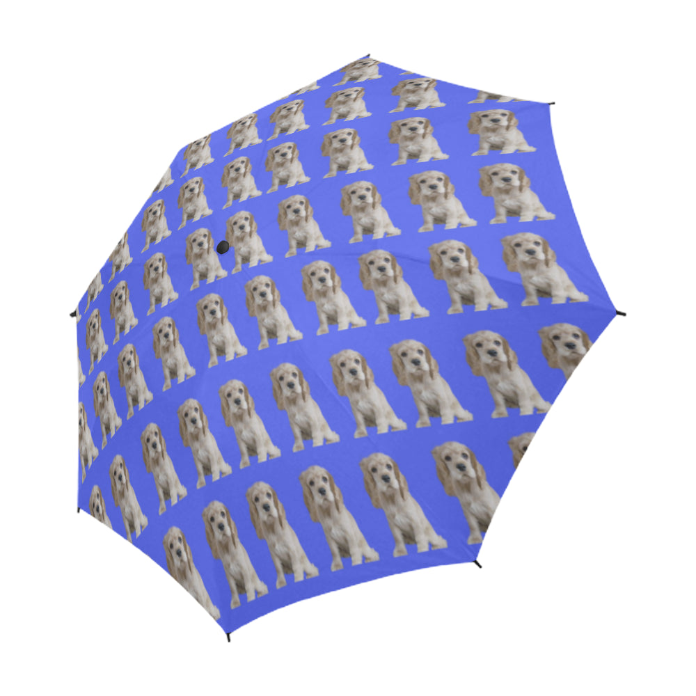 Cocker Spaniel Umbrella - Blue