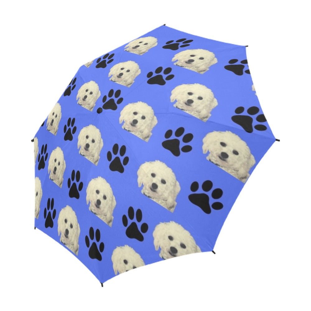 Bichon & Paws Umbrella