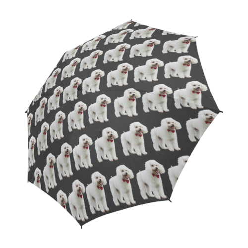 Toy Poodle Umbrella - White