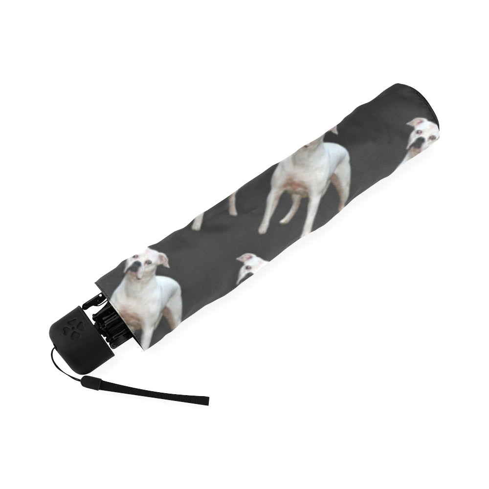 American Bulldog Umbrella