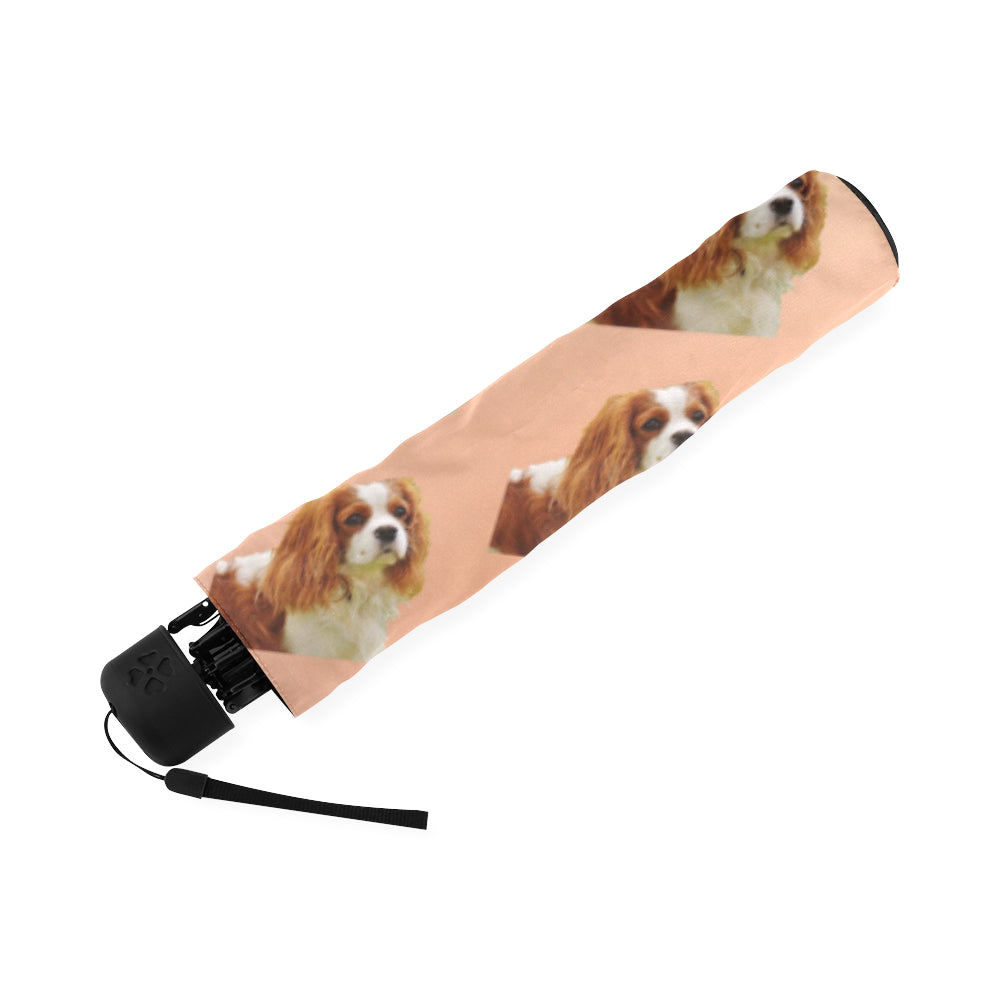 Cavalier King Charles Spaniel Umbrella