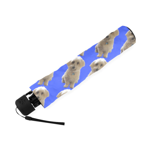 Havanese Umbrella - Blue