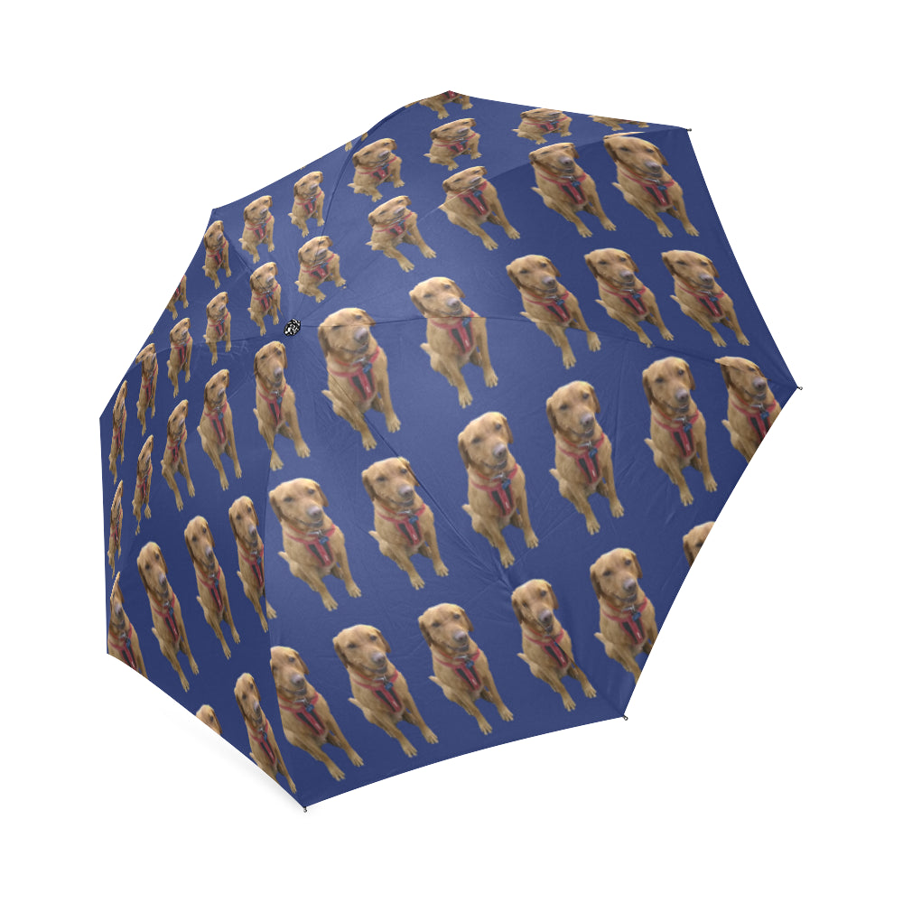 Fox Red Labrador Umbrella