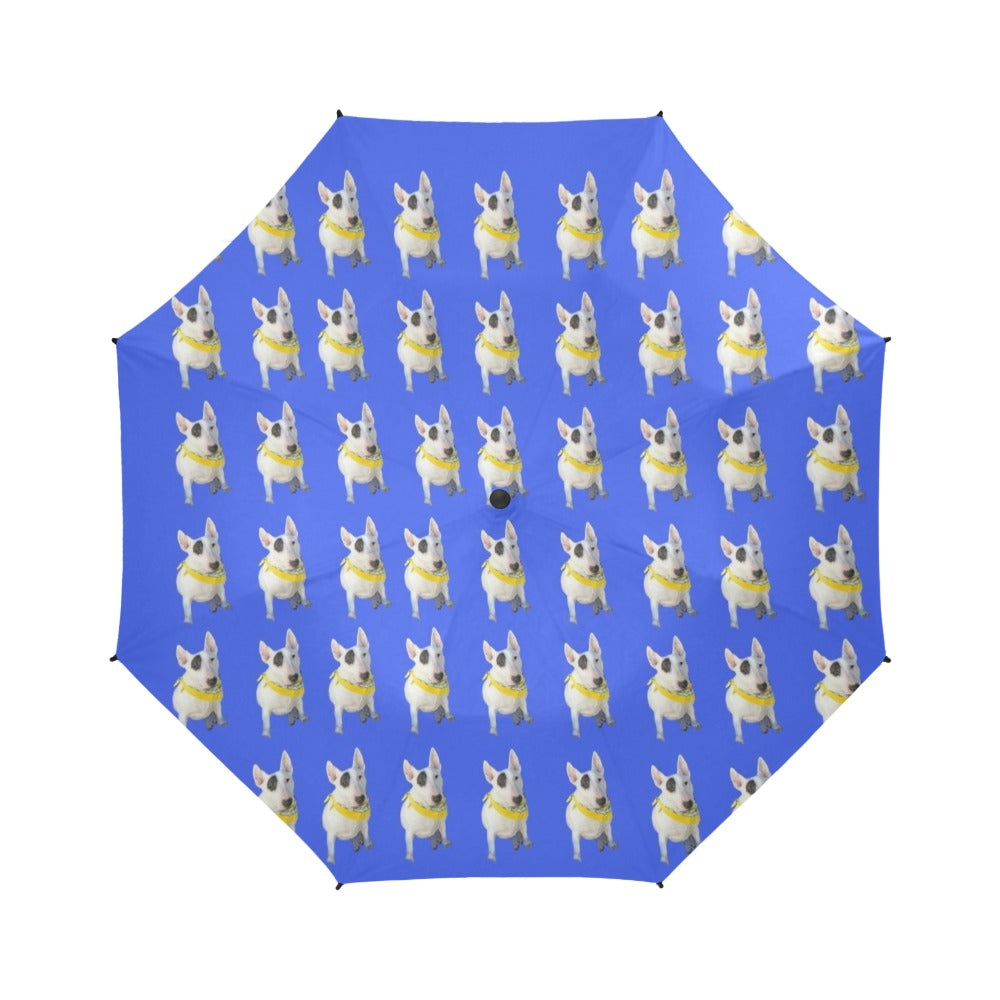 Bull Terrier Umbrella - Blue
