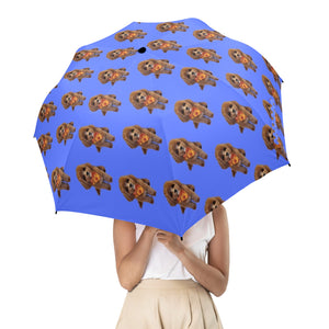 Personalized Umbrella - Pamala Jean