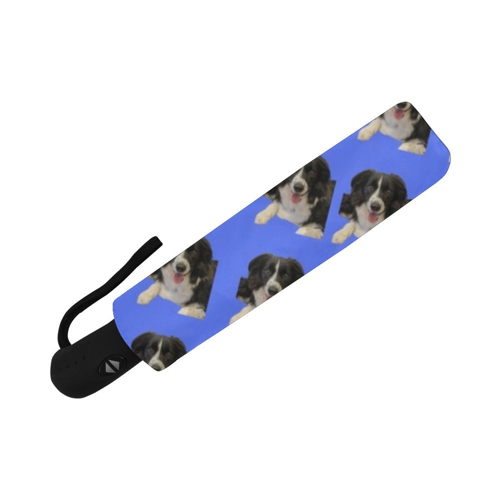 Border Collie Umbrella - Automatic Suzanna