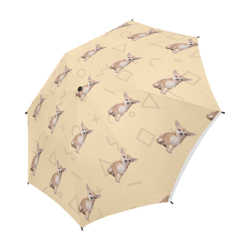 Chihuahua Umbrella - Pattern