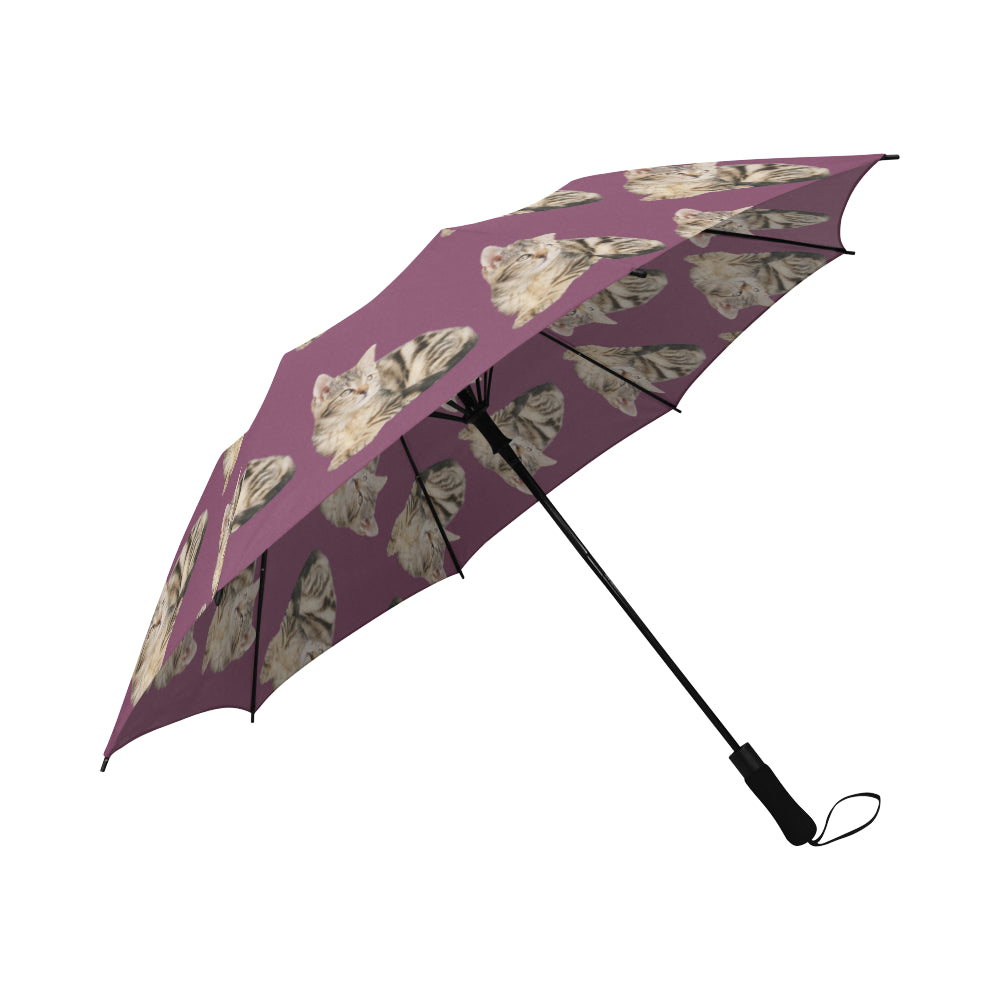 Tabby Cat Umbrella