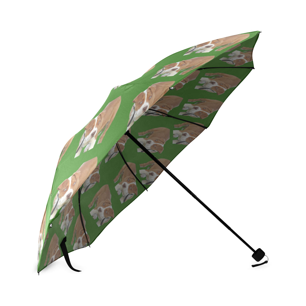 Pitbull Umbrella - Green