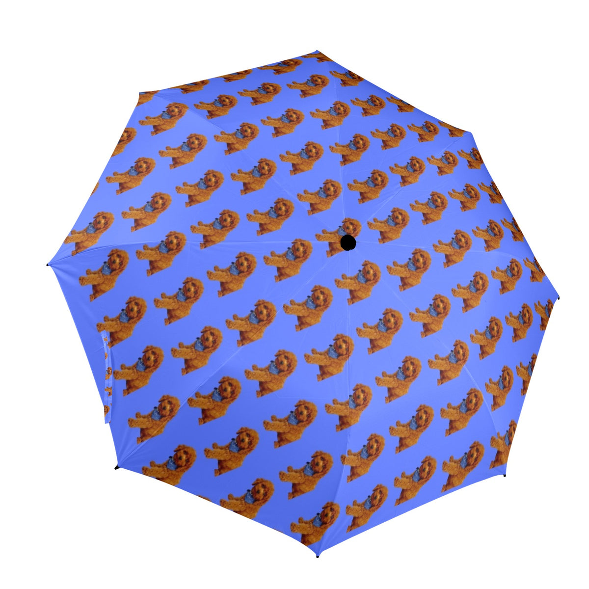 Diane&#39;s Poodle/King Charles Umbrella