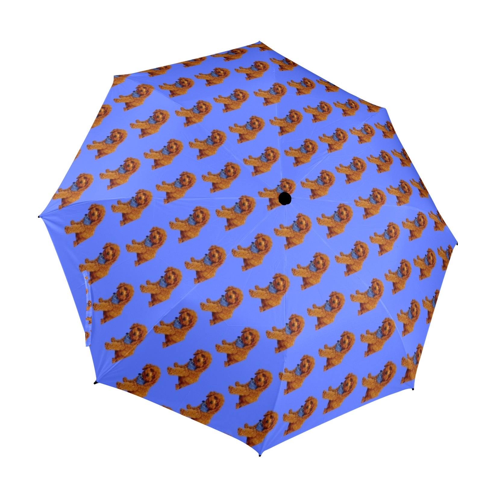 Diane's Poodle/King Charles Umbrella