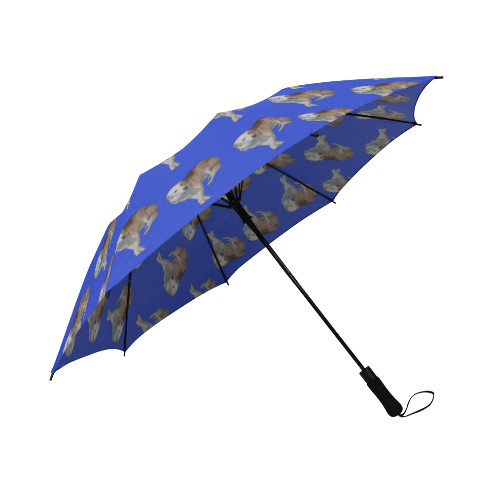 Wheaten Border Collie Umbrella - Casper Semi Auto