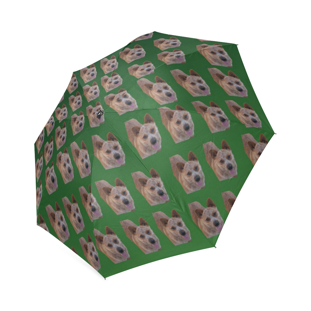 Australian Cattle Dog Umbrella