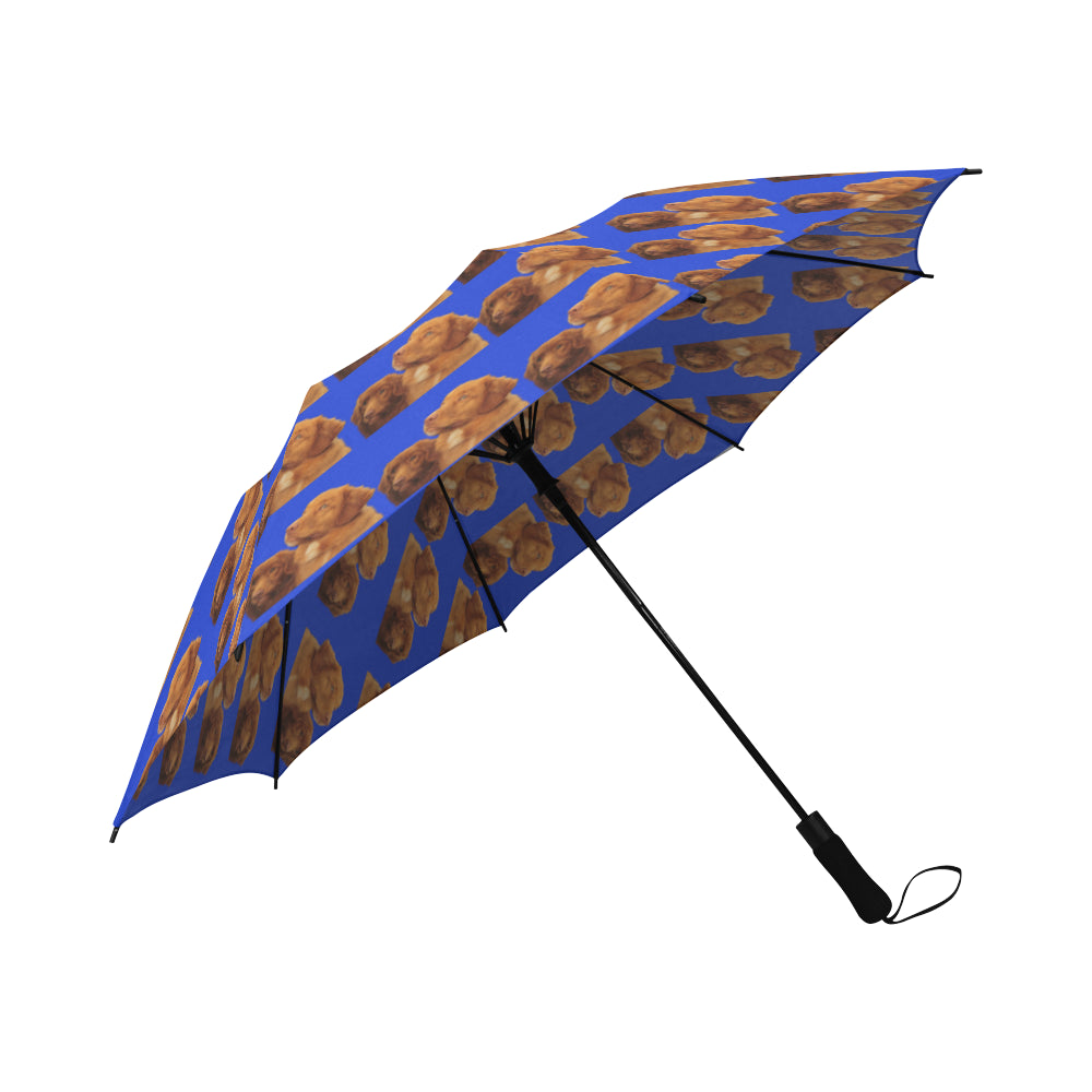 Nova Scotia Duck Tolling Retriever Umbrella