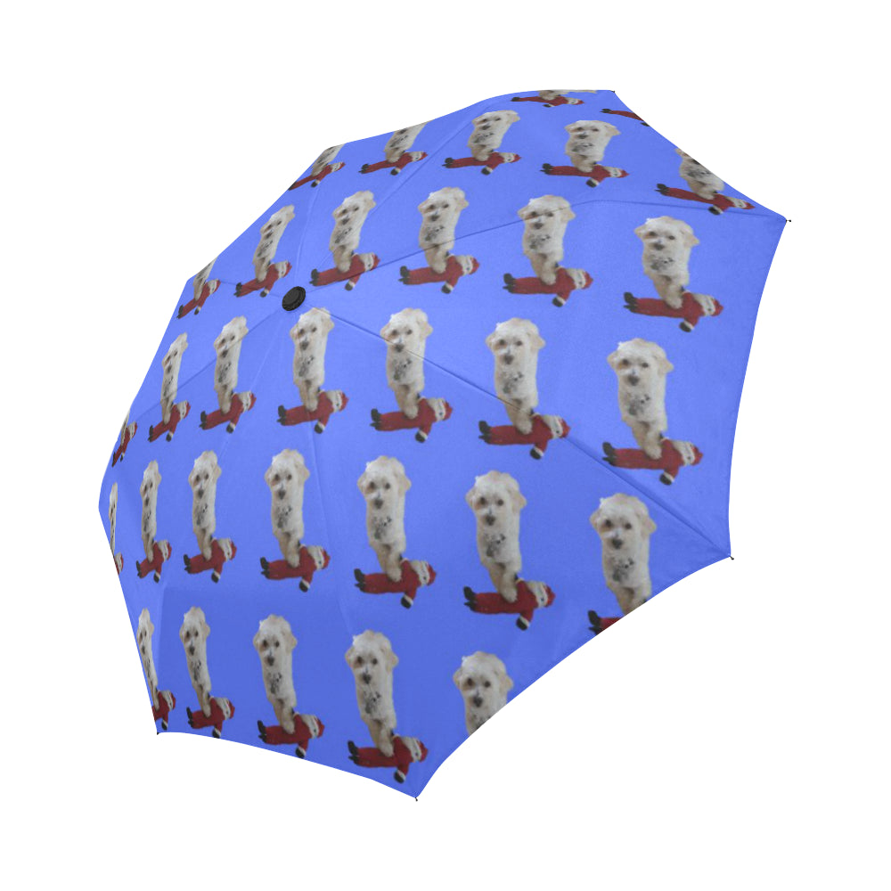 Gilligan's Umbrella