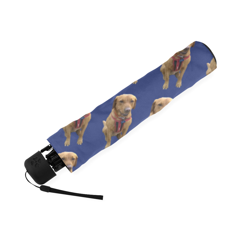 Fox Red Labrador Umbrella