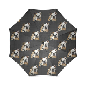 English/Brittish Bulldog Umbrella