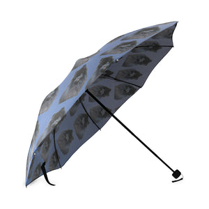 Pomeranian Umbrella - Black Pom