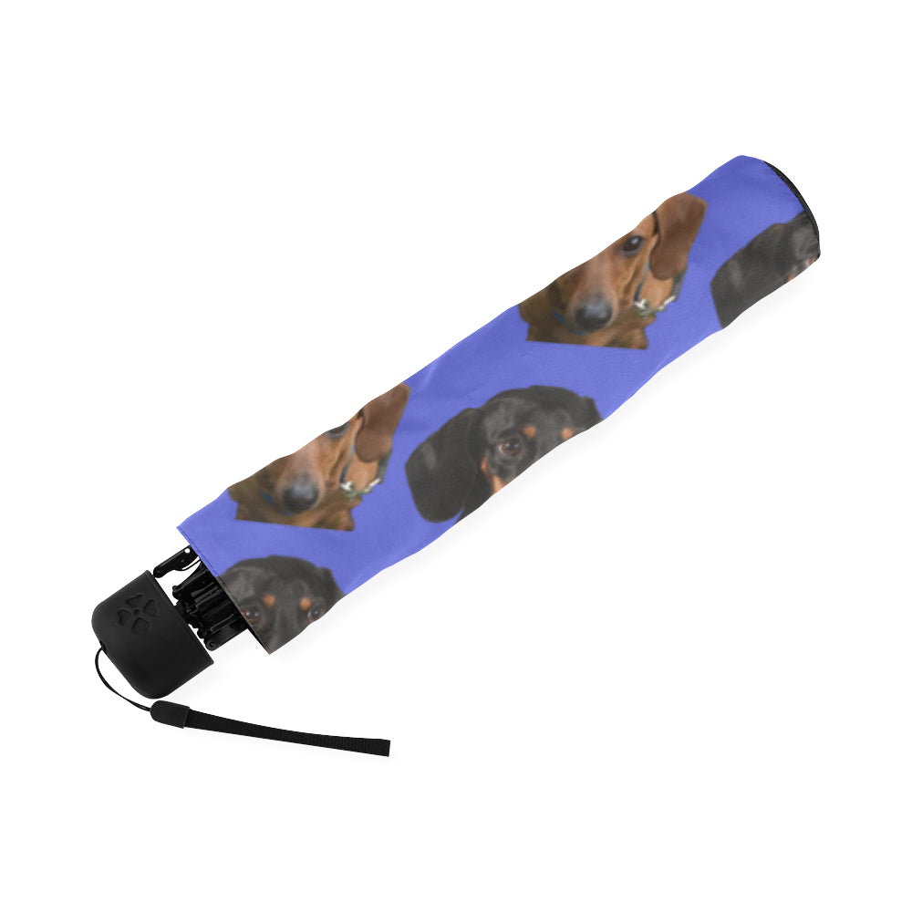 Dachshund Multi Umbrella