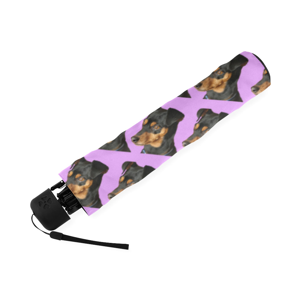 Pinscher Umbrella - Mini