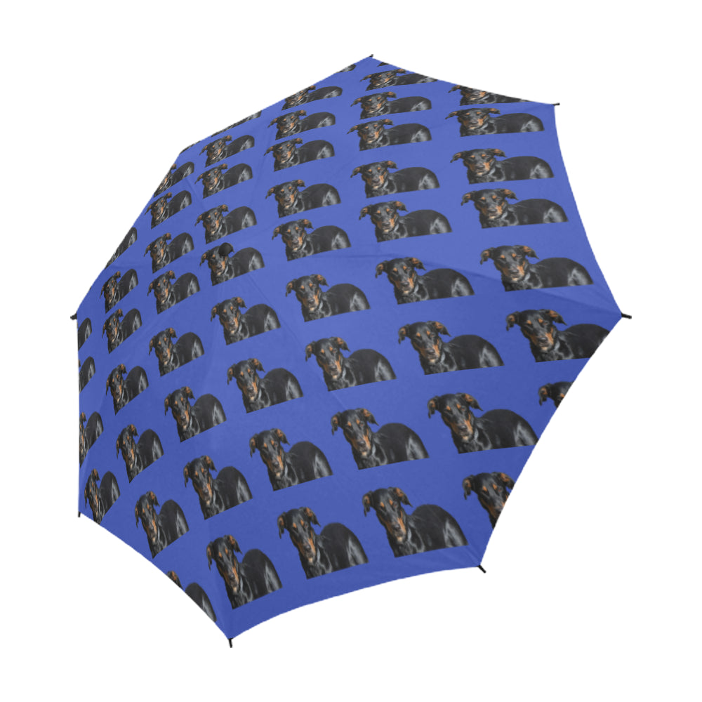 Beauceron Umbrella - Semi-Automatic