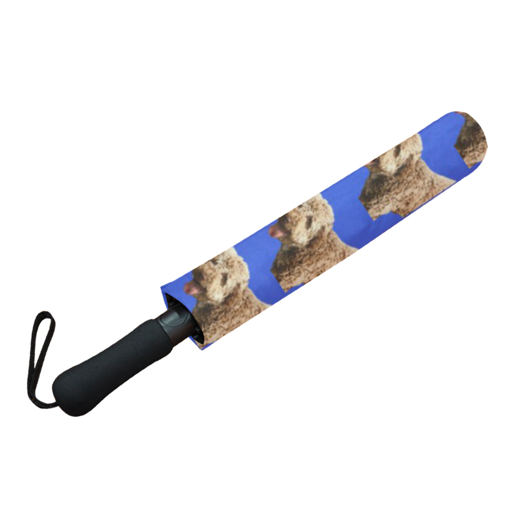 Lagotto Romagnolo Umbrella