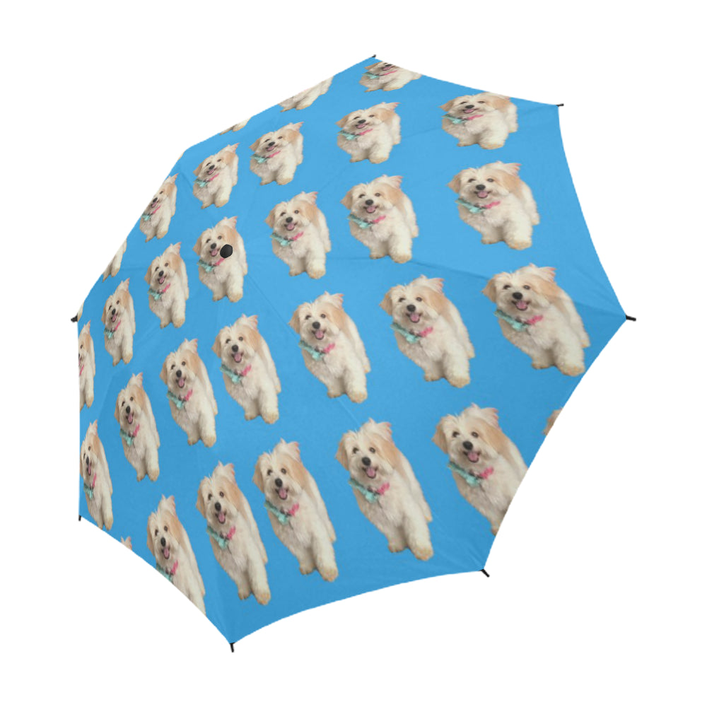 Coton de Tulear Umbrella - Watson Auto Open