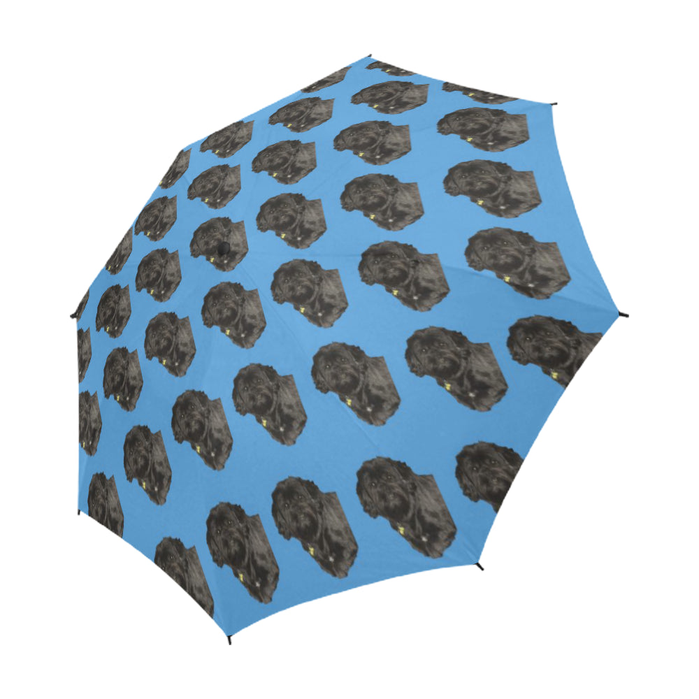 Yorkipoo Umbrella - Black