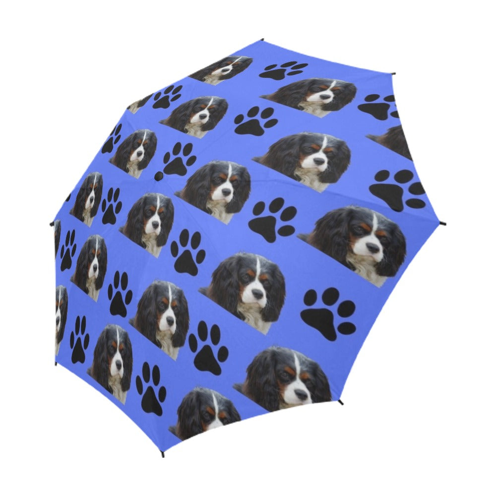 Cavalier King Charles Spaniel &amp; Paws Umbrella