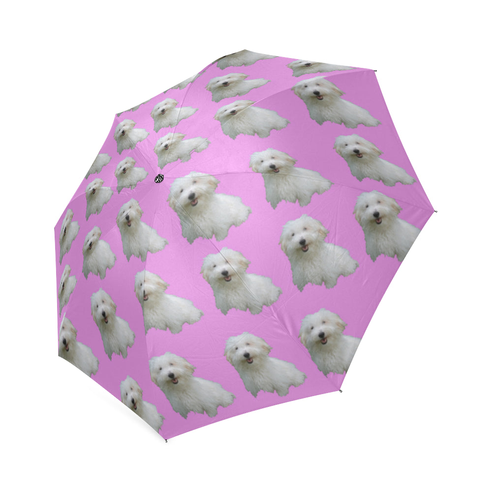 Coton De Tulear Umbrella