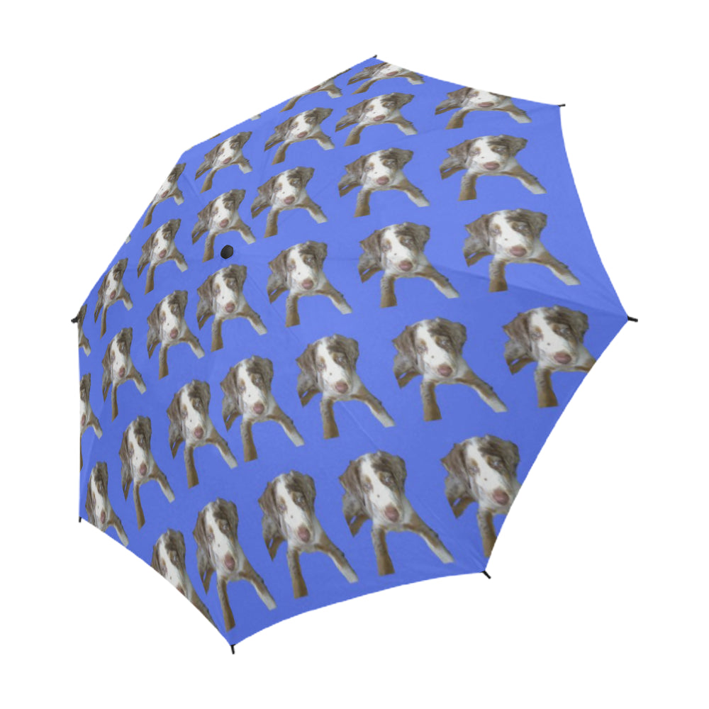 Catahoula Umbrella - Auto Open