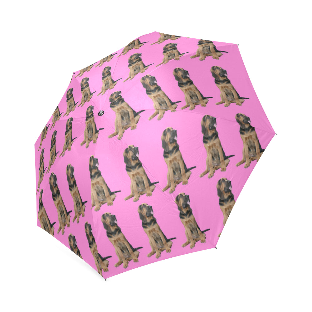 Bloodhound Umbrella - Pink