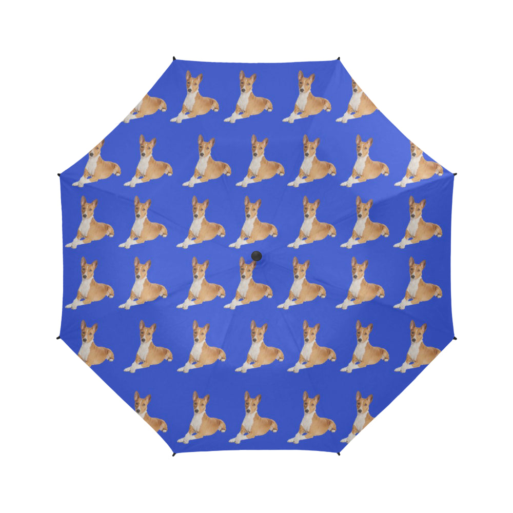 Basenji Umbrella - Blue Auto Open