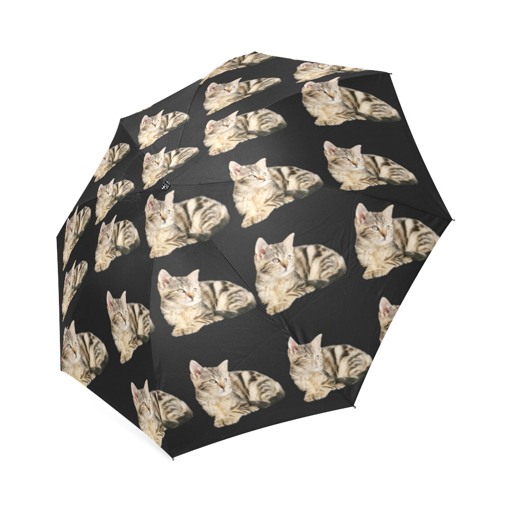 Cat Umbrella