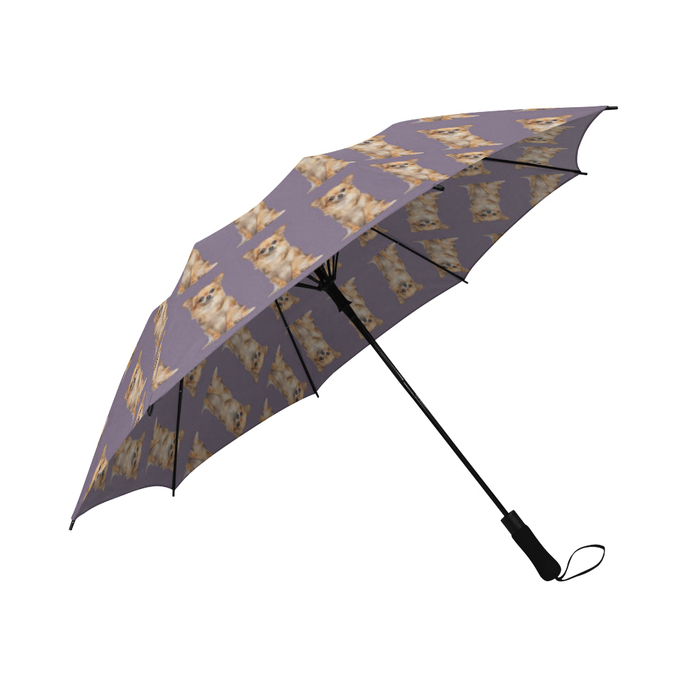 Chihuahua Umbrella - Fawn Long Hair - Semi Automatic