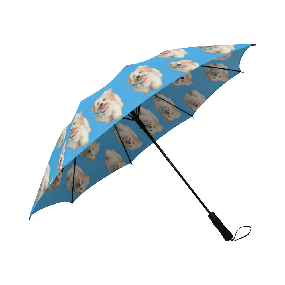 Coton de Tulear Umbrella - Watson Auto Open