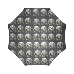Bearded Collie Umbrella