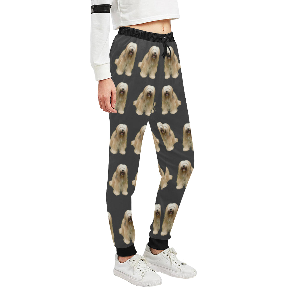 Tibetan Terrier Pants