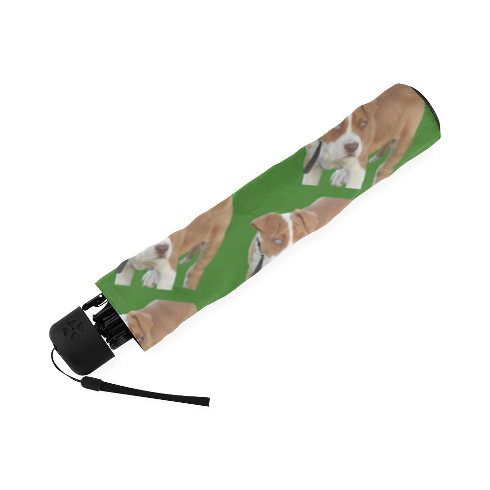 Pitbull Umbrella - Green