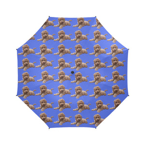 Labradoodle Umbrella - Blue