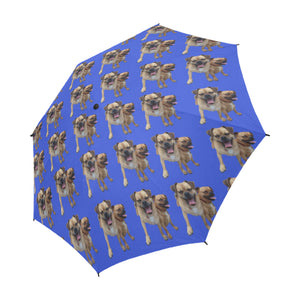 Damien's Dog Umbrella - Auto Open