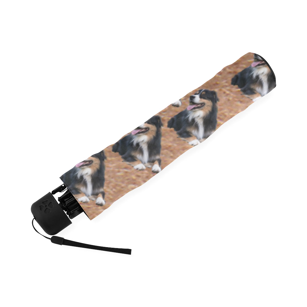 Australian Shepherd Umbrella