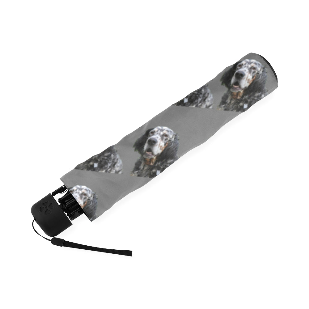 English Setter Umbrella